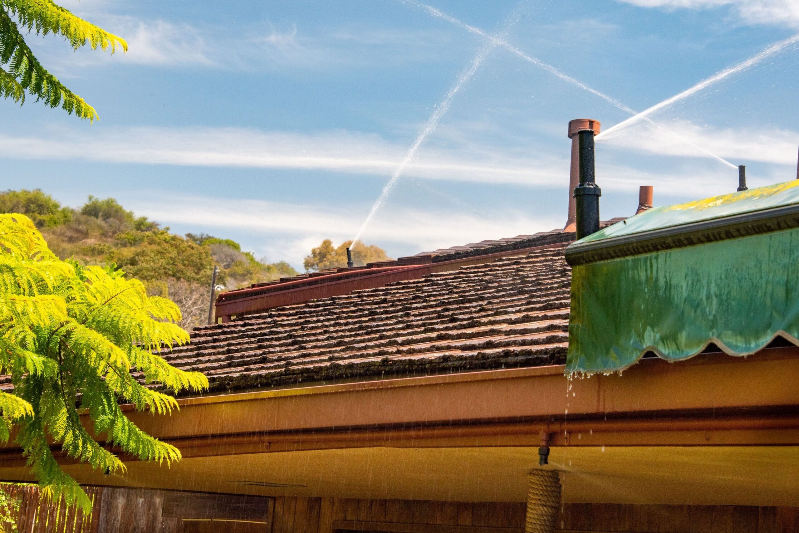 Fire Mitigation service